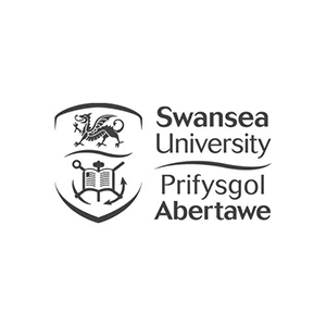 Swansea University