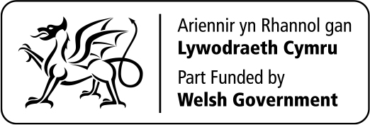 Welsh Government Logo