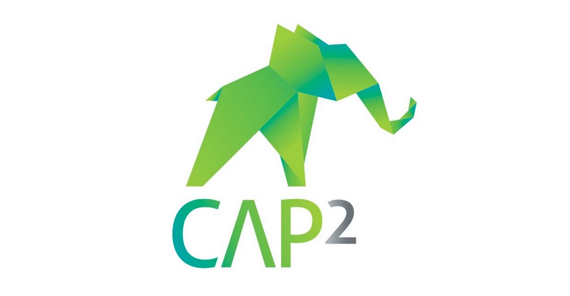 CAP2 Solutions Logo
